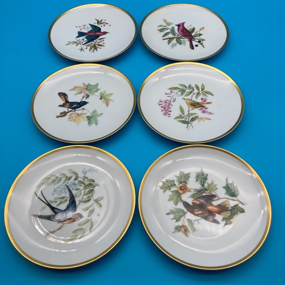 Hutschenreuther Other - RARE Pre-War Hutschenreuther Selb Audubon Bird Plates - Set of 6 - Circa 1930s